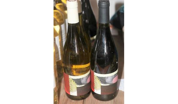 4 flessen à 75cl diverse wijn LEROY TENTATION: 2x witte Côte du Rhône 2016 en 2x rode Côte du Rhône 2018